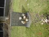 image of grave number 660337
